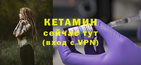 хмурый Гусь-Хрустальный