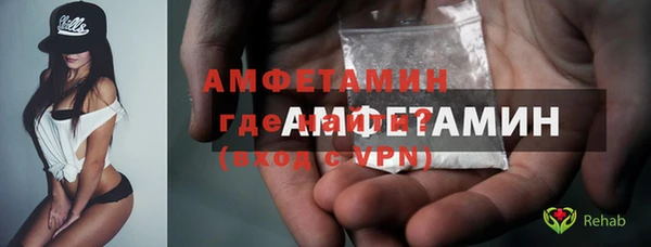 хмурый Гусь-Хрустальный