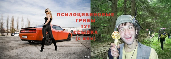 метадон Гусиноозёрск
