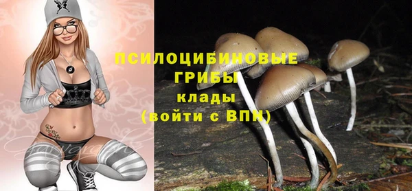 хмурый Гусь-Хрустальный