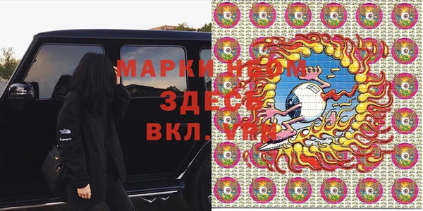 хмурый Гусь-Хрустальный