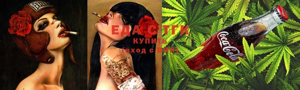 хмурый Гусь-Хрустальный