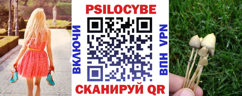 Псилоцибиновые грибы Magic Shrooms  МЕГА ТОР  Дмитровск  что такое наркотик 